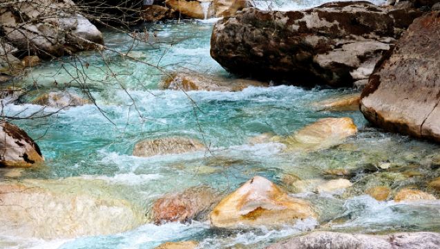 Lawatan Sehari di Gunung Dongla [Singgah di Laut Animasi + Jambatan Pembalak + Pantai Batu Merah] Sesuai untuk pemula~