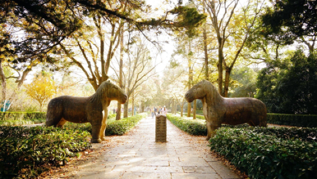 可選8人團丨明孝陵懷古・中山陵景區仰止丨南京鐘山景區環線一日活動