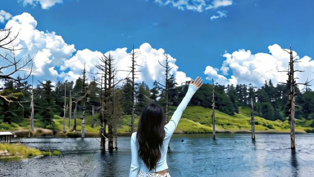 瓦屋山風景區一日遊【觀雲海 · 臨絕壁 · 覓萌寵】