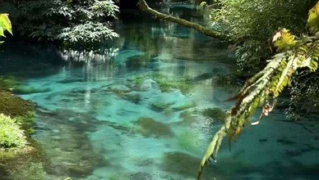 Auckland pergi-balik: Blue Spring + Taman Geoterma + Tasik Taupo [pakej pilihan ABC tidak termasuk tiket masuk]
