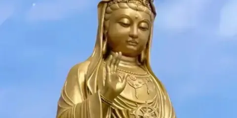 舟山普陀山風景區一日遊 南海觀音+普濟禪寺 【15人團】