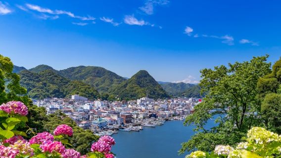 1-day tour to Minamiizu in Shizuoka for the Shimoda hydrangea festival (3 million blooming flowers)