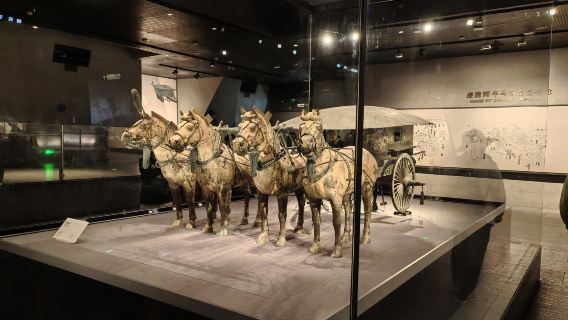 Jednodniowa wycieczka: Muzeum Mauzoleum Pierwszego Cesarza Qin (Terakotowa Armia) + Ogród Lishan + przewodnik w języku angielskim