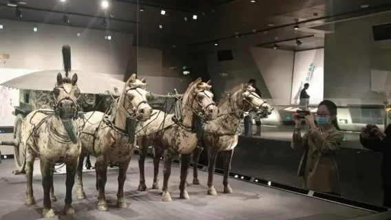 [Opzione per 6 persone] Tour di un giorno a Xi'an al Museo dei guerrieri e dei cavalli di terracotta di Qin + Giardino Lishan (carri e cavalli di bronzo) + pranzo