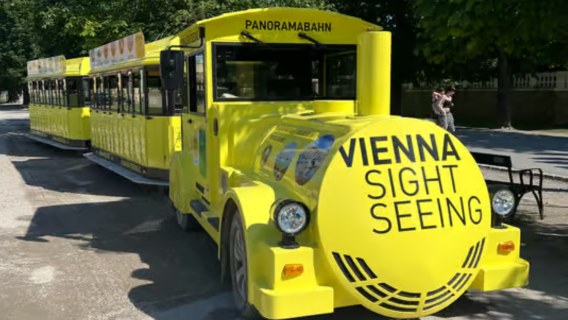 Vienna city bus tour + Schönbrunn Palace guided tour (multilingual audio guide)