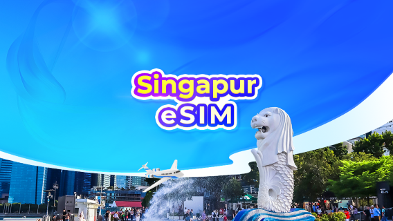 [Singapur] 4G eSIM | Kein Versand erforderlich | Ein-Klick-Installation | 24-Stunden-Tagesabrechnung | QR-Code
