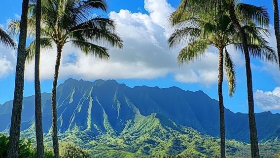 Hawaii Amerika Pulau Oahu Honolulu - Teluk Hanauma - Ladang Kualani - Sewaan Peribadi Bahasa Cina - Pilihan Terbaik