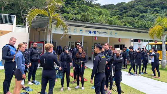 Tour de esnórquel con tortugas en la isla de Tokashiki – Encuentro en Tokashiki