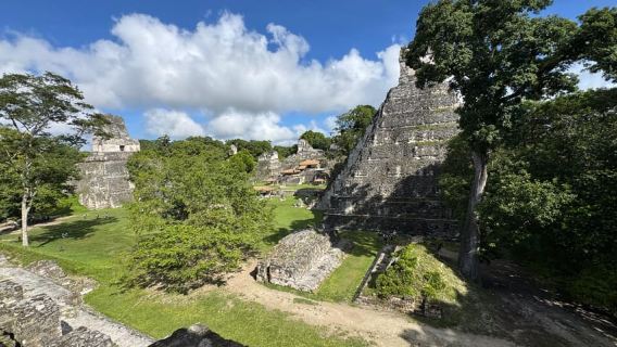 Tikal: Calm Pace Wildlife & Archaeology Tour
