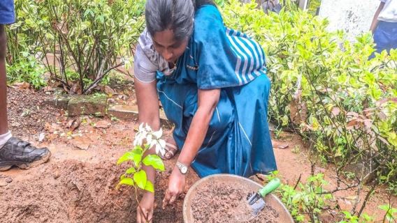 Ambalangoda: Mangrove Safari, Cinnamon Tour & Eco-Activities