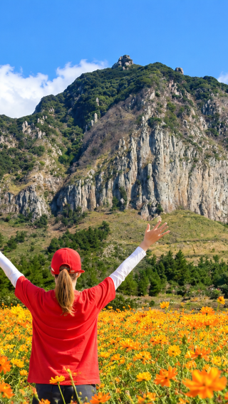 South-West Jeju Essentials: Hallasan & Signature Highlights