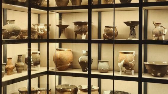 Kumpulan kecil eksklusif 20 orang/kumpulan persendirian Panduan secara langsung di Muzium Xuzhou + fon telinga