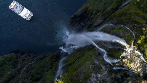 From Te Anau: Milford Sound / Piopiotahi luxury bus tour and cruise