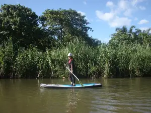 Stand-Up Paddle Boarding at Kampar River