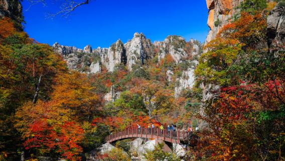 Lawatan sehari ke Taman Negara Seoraksan di Korea Selatan (bertolak dari Seoul, tempat istimewa untuk melihat daun maple pada musim luruh)