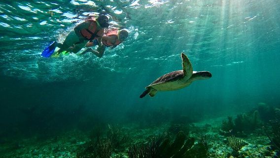 CancunTours