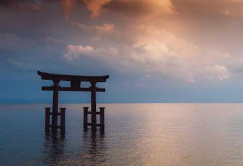 千疊敷+白濱町+黑潮市場+千疊敷+圓月島一日遊