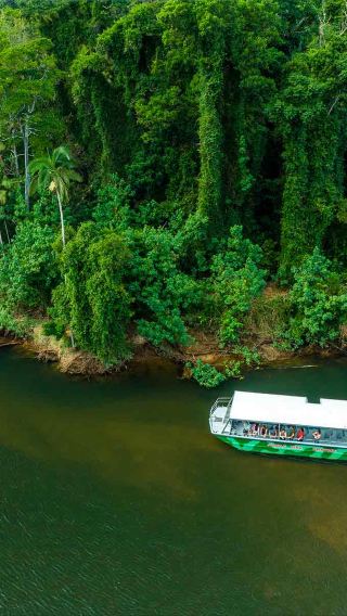 Cairns + Cape Tribulation + Daintree Rainforest 1-day tour • wildlife habitat + Daintree River cruise