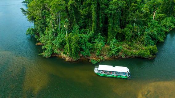ケアンズ ケープトリビュレーションワンデーツアー【野生動物の生息地+デインツリー遊覧船+ハイキング 送迎付き】