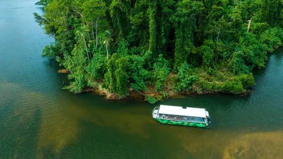 Cairns Cape Tribulation 1-day tour [Wildlife habitat + Daintree cruise + hiking with transfers]