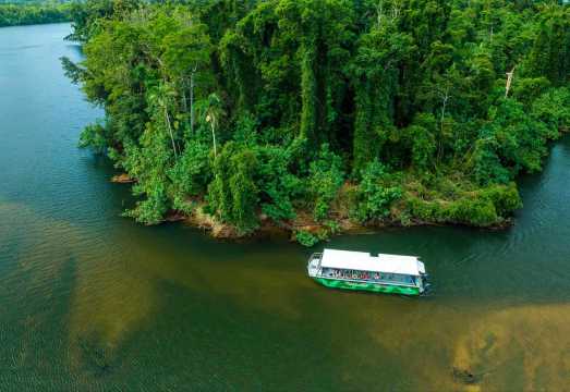 Cairns Cape Tribulation 1-day tour [Wildlife habitat + Daintree cruise + hiking with transfers] AUD 234.73