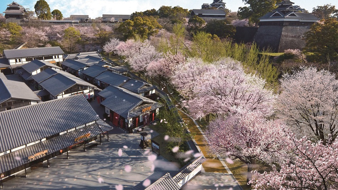 Departing from Fukuoka: Kumamoto Castle + Aso Volcano Crater Exploration + Kusasenri Horseback Riding Experience Transportation Special Line