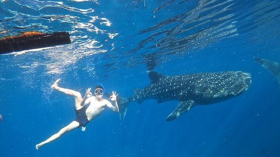 DumagueteTours