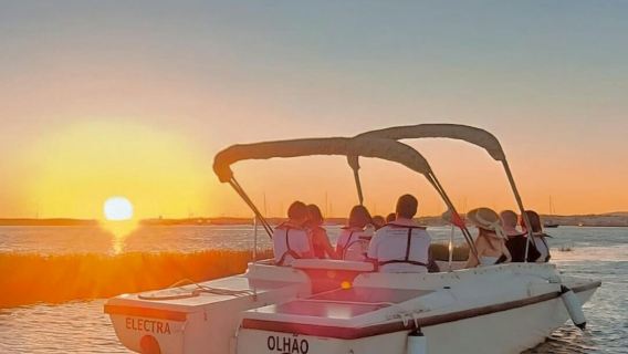 Ría Formosa: Paseo en barco ecológico al atardecer desde Faro