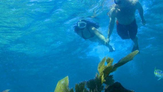 Escursione di snorkeling con doppia immersione