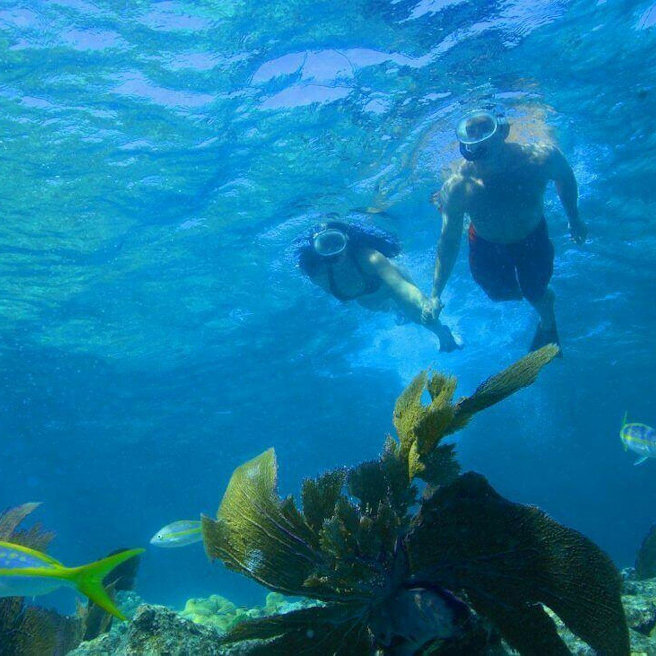 Escursione di snorkeling con doppia immersione