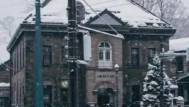 日本札幌往返大雪山國家公園-可小樽登別富良野北海道包車-精選