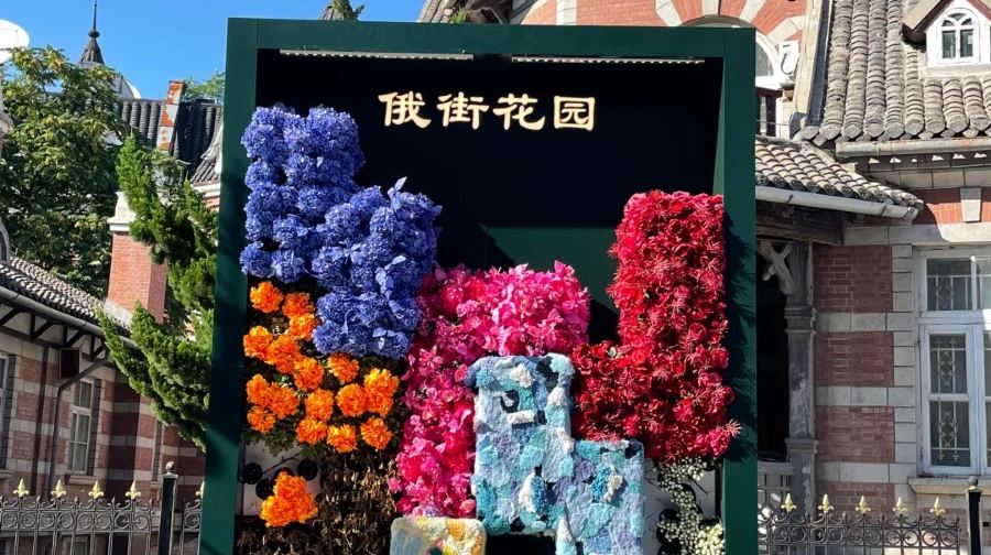 大連軍港遊園+太陽溝+旅順博物館+大連·俄羅斯風情街一日遊
