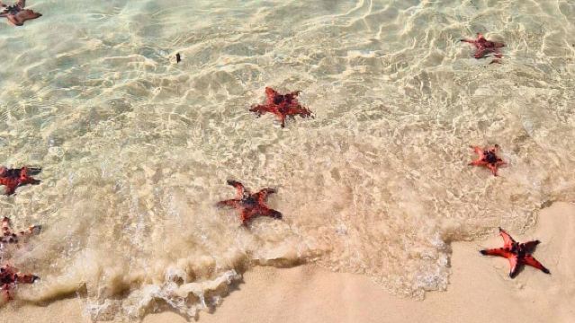 เหมาทัวร์ผจญภัยทางเหนือเกาะพงัน พร้อมกิจกรรมพายเรือคายัค