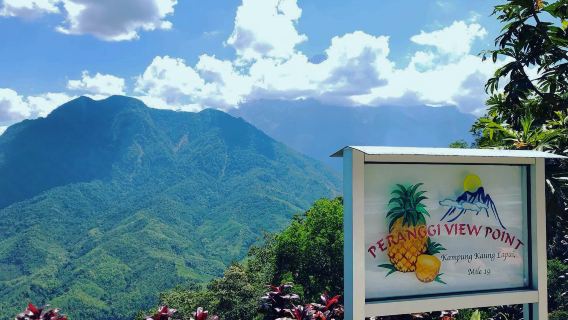 Sabah Desa Cow Farm, Sky-Mirror, Peranggi View Point & Local Market Shared Day Tour