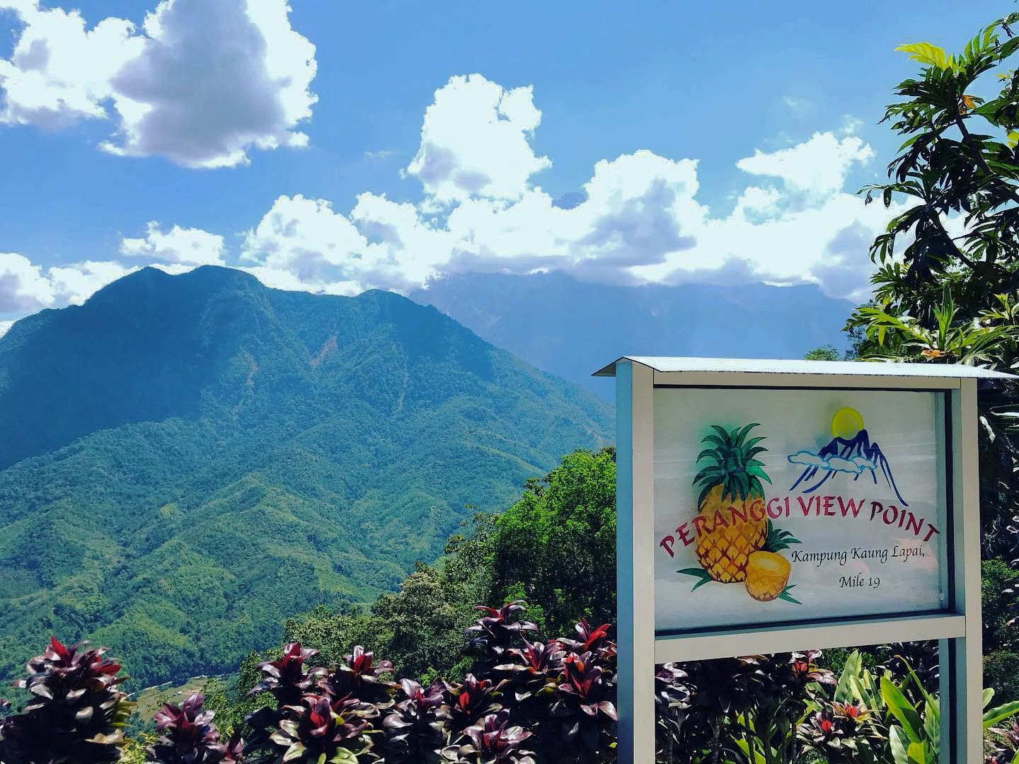 Sabah Desa Cow Farm, Sky-Mirror, Peranggi View Point & Local Market Shared Day Tour