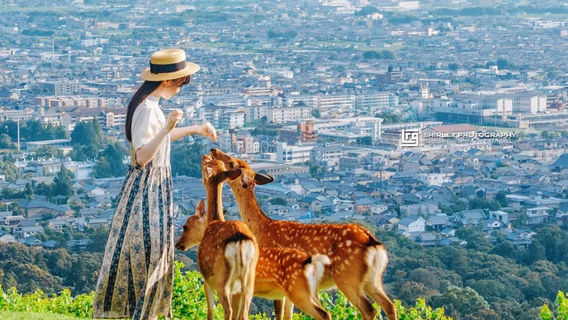 KyotoTours