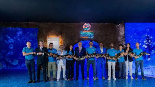 Abu Dhabi Attraction: The National Aquarium Abu Dhabi Day Tours 6
