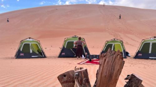 From Abu Dhabi Safari: Liwa Dunes Full Day 4x4 Safari Adventure Day Tours 4