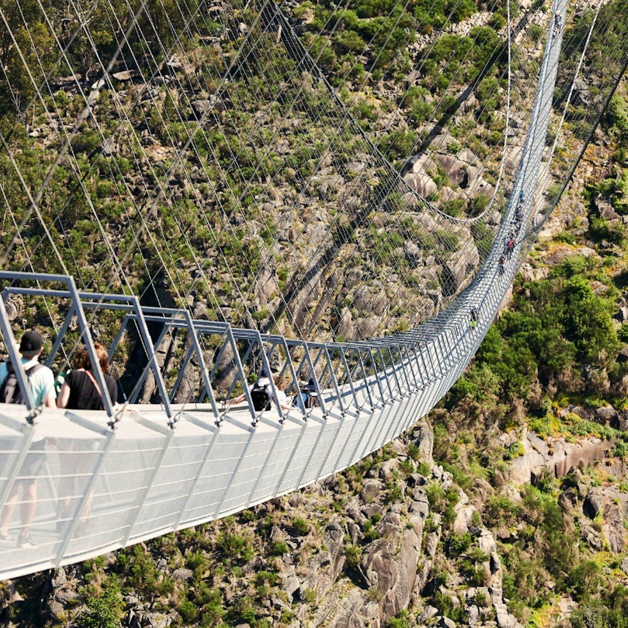 516 สะพานอารูกาและทางเดินปาอิวา: ทัวร์พร้อมไกด์จากปอร์โต + อาหารกลางวัน