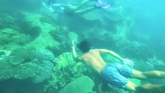 富國島包船出海一日遊【客製行程/浮潛/海釣/午餐/飯店接送】