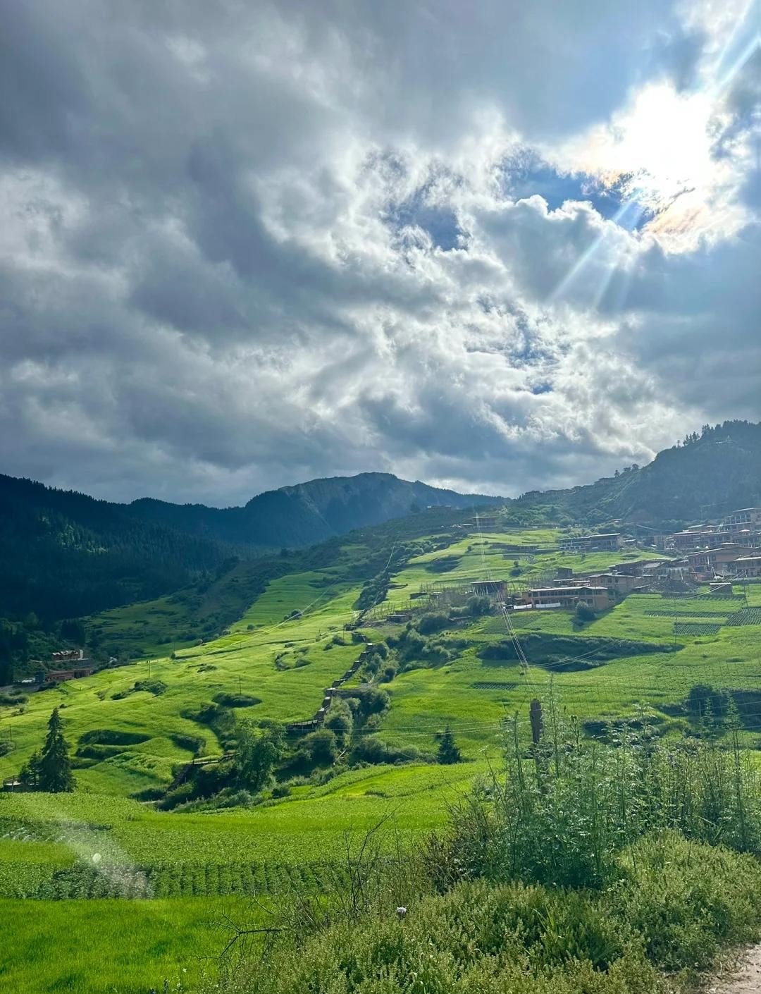 Gannan: Zha Ga Na + First Bend of the Yellow River + No join-in tours, multilingual guides/local guides