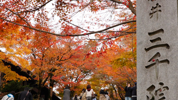 Kyoto, Japan: Tagesausflug zum Nanzenji-Tempel, Sanzen-in-Tempel und Kifune-Schrein