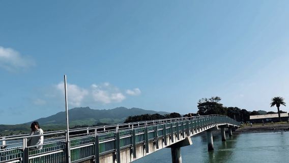Ngaruni beach+新娘面紗瀑布【奧克蘭包車週邊遊】