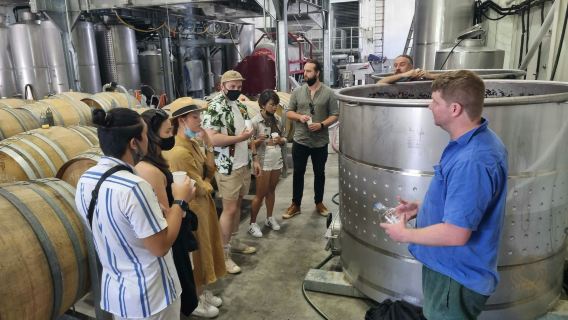 Hunter Valley: Day Trip from Sydney + Tastings + Lunch