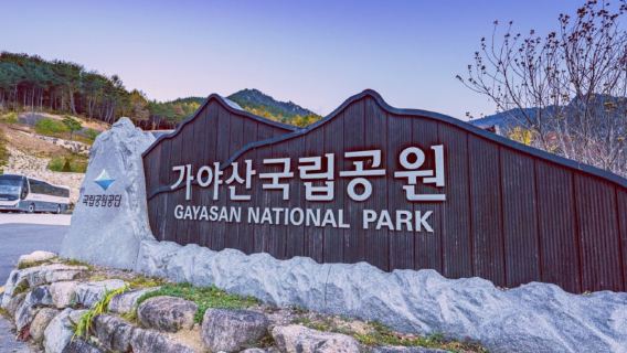 JeonjuTours