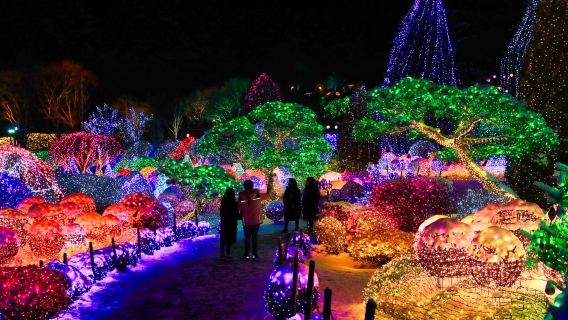 From Seoul: Nami Island + Eobi Valley + Rail Bike + Morning Calm Arboretum