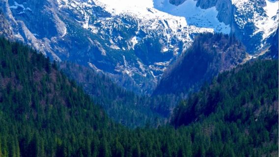 維也納哈爾施塔特+戈紹一日遊【可選薩爾茨堡出發/夢幻童話小鎮