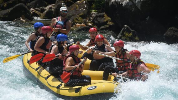 Tara Canyon: escursione di un giorno in rafting sul Tara
