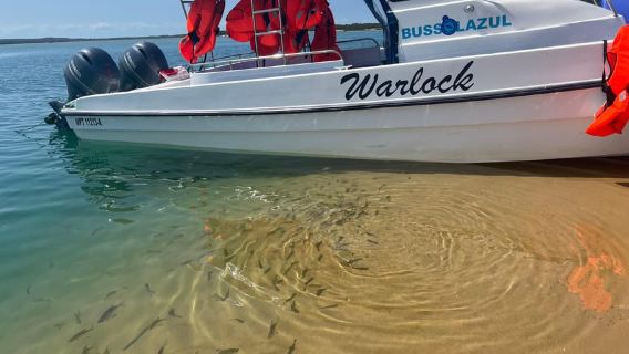 Mozambique: Inhaca, Santa Maria, and Portuguese Islands Tour