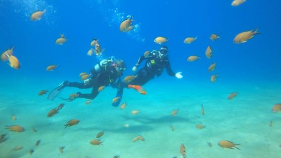 Lanzarote : Baptême de plongée à Puerto de Carmen 2 plongées